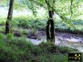 Lochborner Bergwerksteich bei Bieber im Nordspessart, Hessen, (D) (9) 31. Mai 2014 Zufluss.JPG